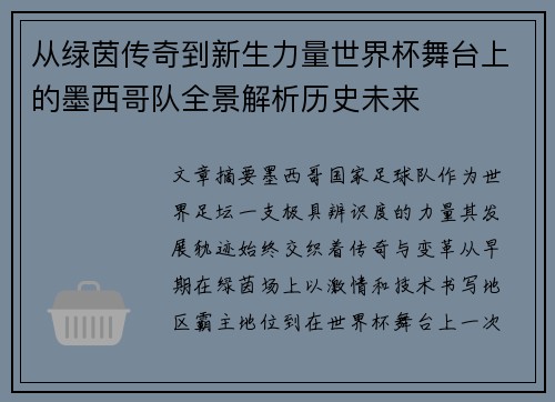 从绿茵传奇到新生力量世界杯舞台上的墨西哥队全景解析历史未来